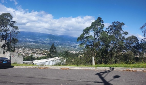 Quito Calle de Los Nogales Pasaje E18-N Primera transversal, Quito, Pichincha, ,Campo,En venta,Quito Calle de Los Nogales Pasaje E18-N,1612412071639223