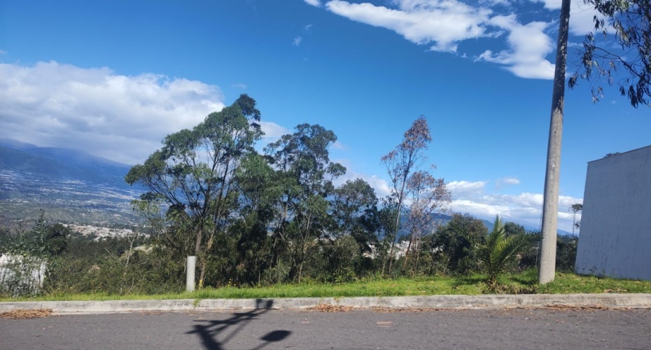 Quito Calle de Los Nogales Pasaje E18-N Primera transversal, Quito, Pichincha, ,Campo,En venta,Quito Calle de Los Nogales Pasaje E18-N,1612412071639223