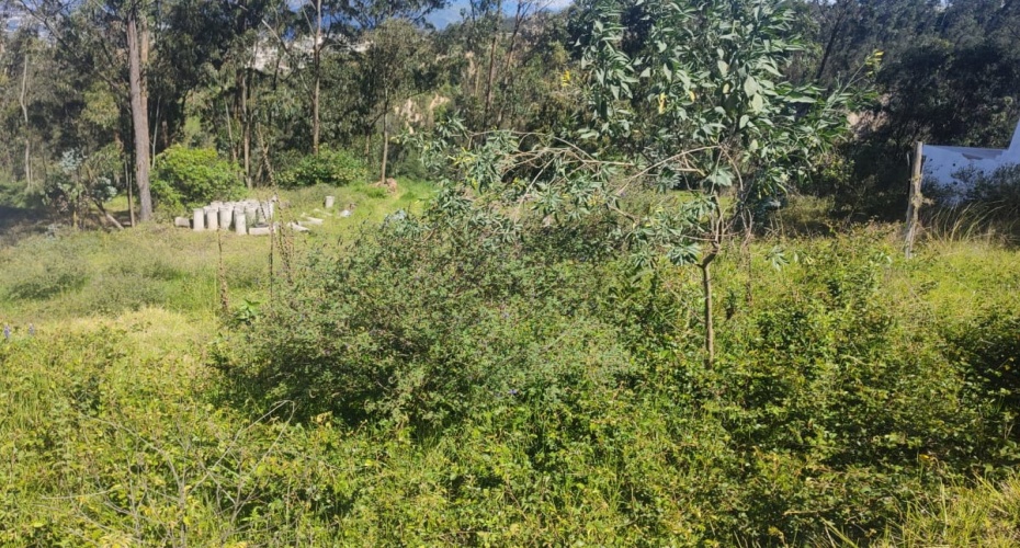 Quito Calle de Los Nogales Pasaje E18-N Primera transversal, Quito, Pichincha, ,Campo,En venta,Quito Calle de Los Nogales Pasaje E18-N,1612412071639223