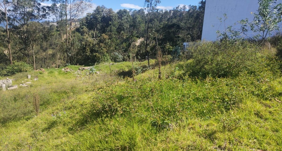 Quito Calle de Los Nogales Pasaje E18-N Primera transversal, Quito, Pichincha, ,Campo,En venta,Quito Calle de Los Nogales Pasaje E18-N,1612412071639223