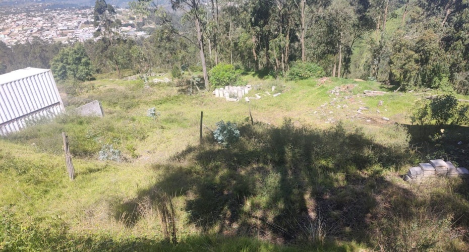 Quito Calle de Los Nogales Pasaje E18-N Primera transversal, Quito, Pichincha, ,Campo,En venta,Quito Calle de Los Nogales Pasaje E18-N,1612412071639223