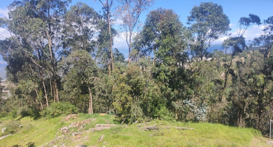 Quito Calle de Los Nogales Pasaje E18-N Primera transversal, Quito, Pichincha, ,Campo,En venta,Quito Calle de Los Nogales Pasaje E18-N,1612412071639223