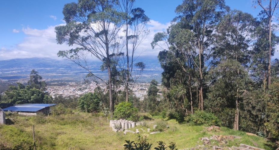 Quito Calle de Los Nogales Pasaje E18-N Primera transversal, Quito, Pichincha, ,Campo,En venta,Quito Calle de Los Nogales Pasaje E18-N,1612412071639223