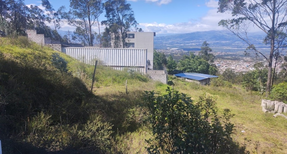 Quito Calle de Los Nogales Pasaje E18-N Primera transversal, Quito, Pichincha, ,Campo,En venta,Quito Calle de Los Nogales Pasaje E18-N,1612412071639223