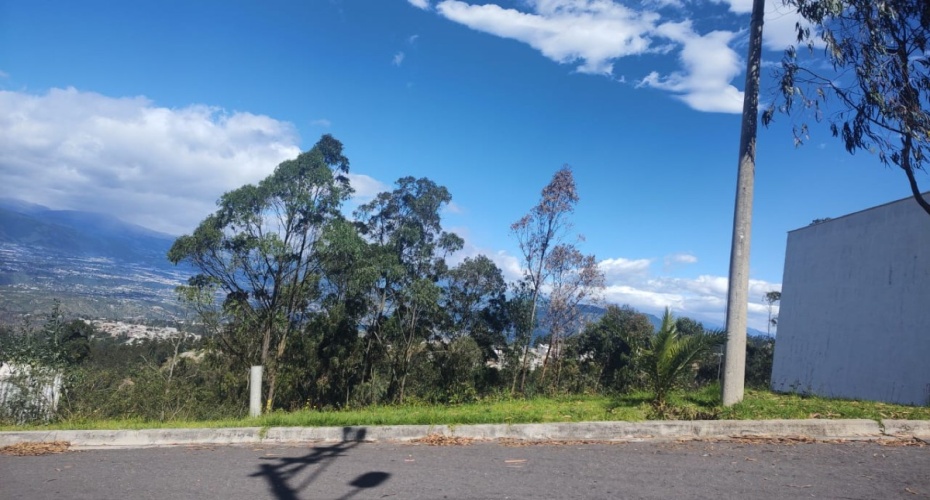 Quito Calle de Los Nogales Pasaje E18-N Primera transversal, Quito, Pichincha, ,Campo,En venta,Quito Calle de Los Nogales Pasaje E18-N,1612412071639223